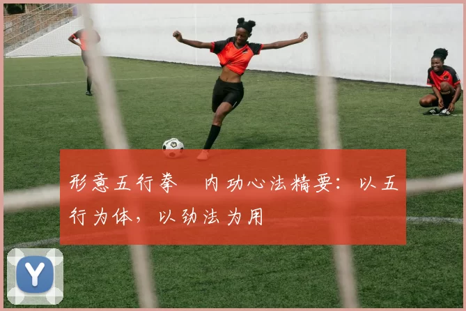 形意五行拳・内功心法精要:以五行为体,以劲法为用