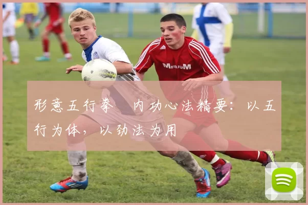 形意五行拳・内功心法精要:以五行为体,以劲法为用