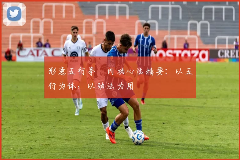 形意五行拳・内功心法精要：以五行为体，以劲法为用