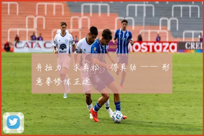 弃拙力・求真松・得真劲 —— 形意拳修炼正途