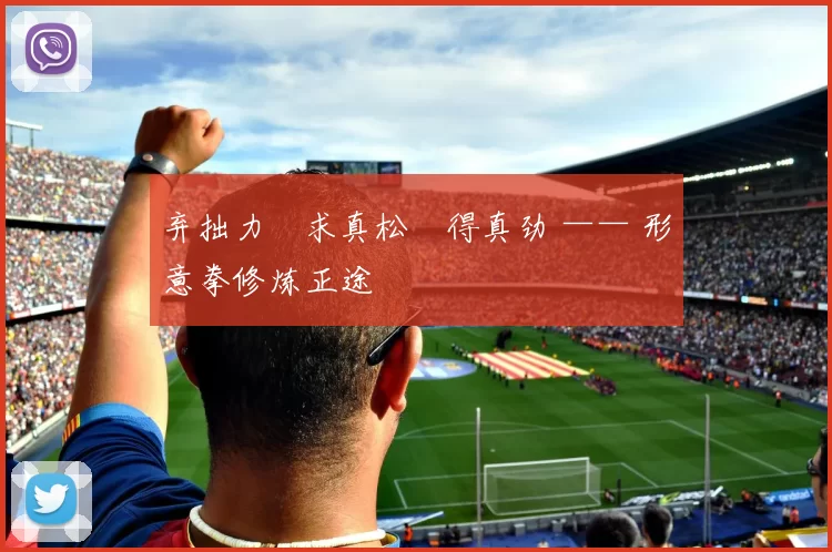 弃拙力・求真松・得真劲 —— 形意拳修炼正途