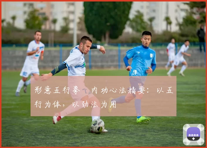 形意五行拳・内功心法精要：以五行为体，以劲法为用