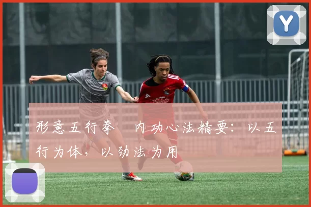 形意五行拳・内功心法精要：以五行为体，以劲法为用