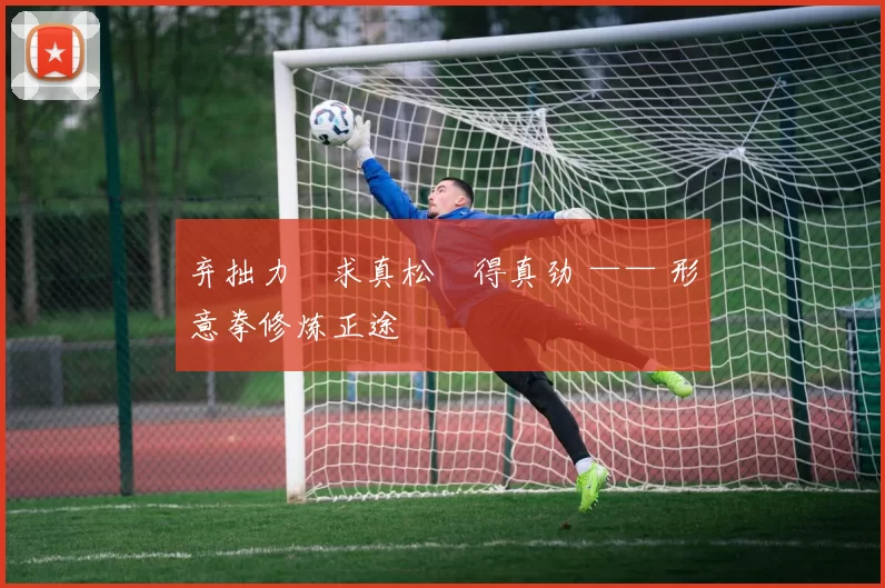 弃拙力・求真松・得真劲 —— 形意拳修炼正途