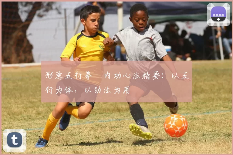 形意五行拳・内功心法精要:以五行为体,以劲法为用