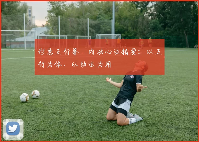 形意五行拳・内功心法精要:以五行为体,以劲法为用