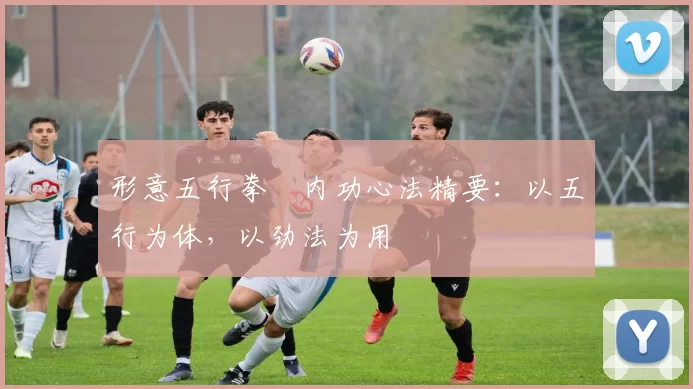 形意五行拳・内功心法精要：以五行为体，以劲法为用