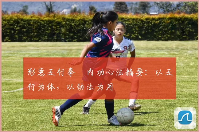 形意五行拳・内功心法精要：以五行为体，以劲法为用