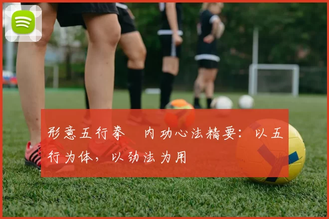 形意五行拳・内功心法精要:以五行为体,以劲法为用