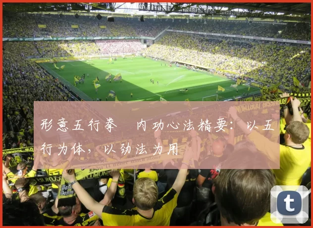 形意五行拳・内功心法精要:以五行为体,以劲法为用