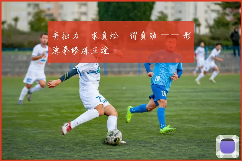 弃拙力・求真松・得真劲 —— 形意拳修炼正途