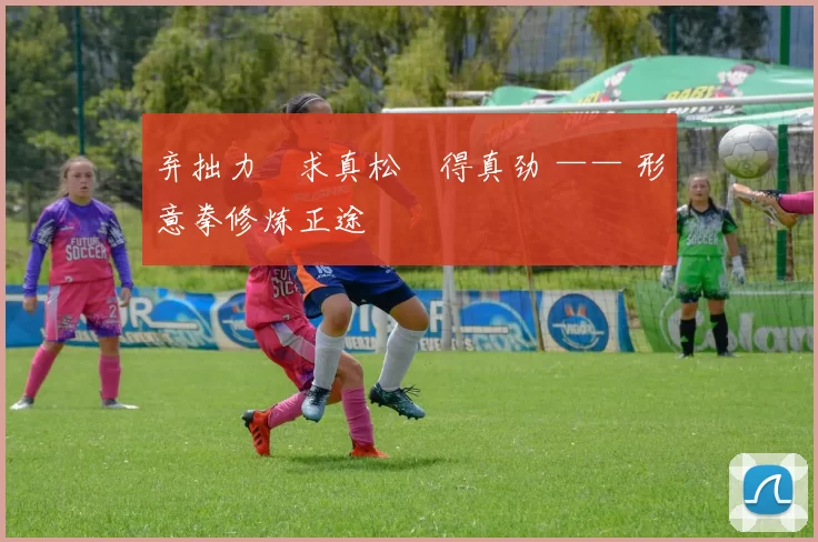 弃拙力・求真松・得真劲 —— 形意拳修炼正途