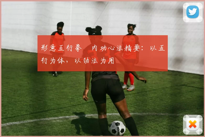 形意五行拳・内功心法精要：以五行为体，以劲法为用