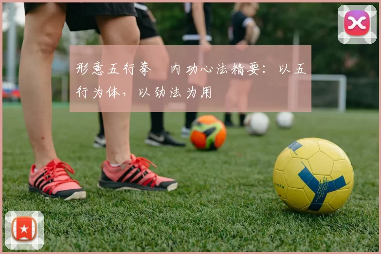 形意五行拳・内功心法精要:以五行为体,以劲法为用