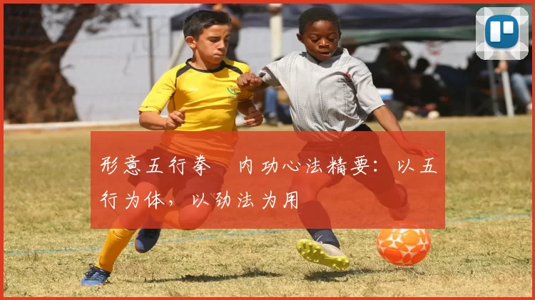 形意五行拳・内功心法精要：以五行为体，以劲法为用