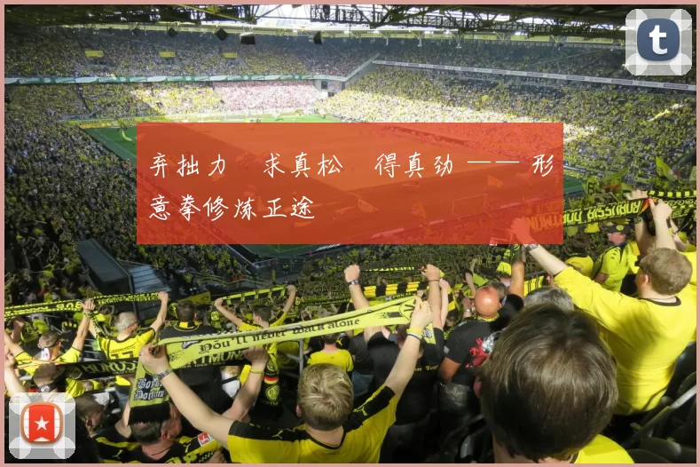 弃拙力・求真松・得真劲 —— 形意拳修炼正途