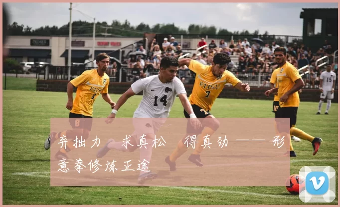 弃拙力・求真松・得真劲 —— 形意拳修炼正途