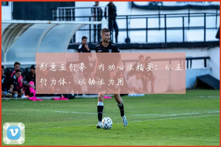 形意五行拳・内功心法精要：以五行为体，以劲法为用