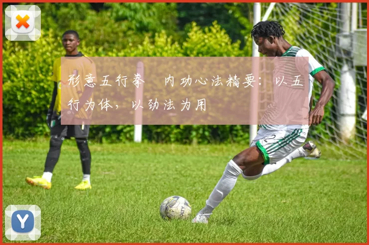 形意五行拳・内功心法精要:以五行为体,以劲法为用