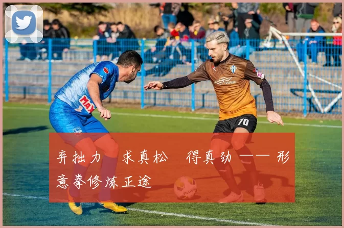 弃拙力・求真松・得真劲 —— 形意拳修炼正途