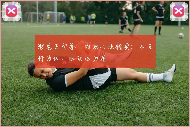 形意五行拳・内功心法精要：以五行为体，以劲法为用