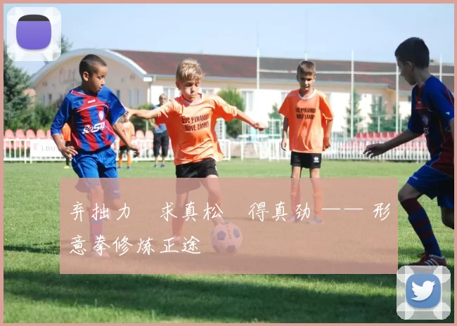 弃拙力・求真松・得真劲 —— 形意拳修炼正途