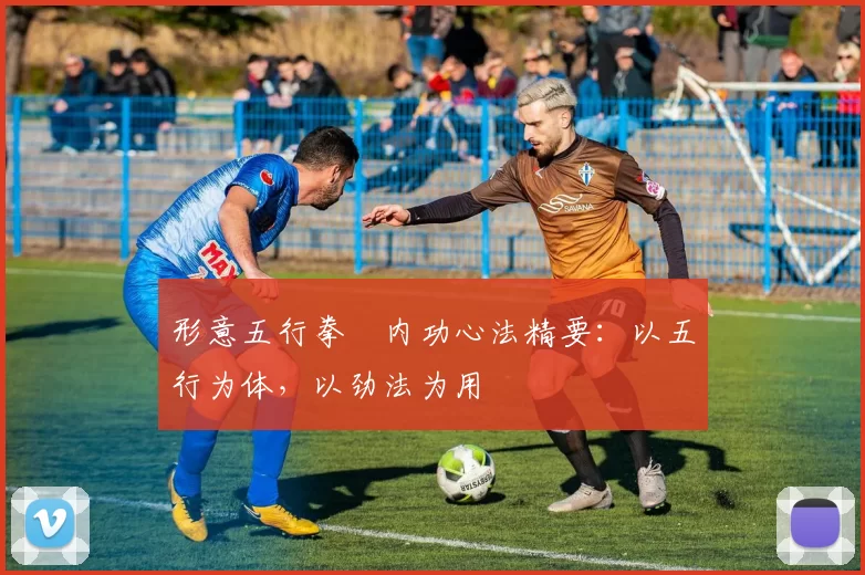 形意五行拳・内功心法精要：以五行为体，以劲法为用