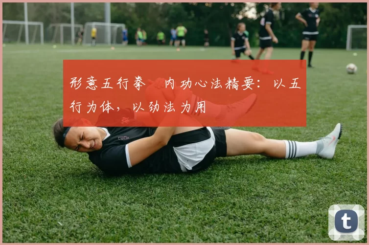 形意五行拳・内功心法精要：以五行为体，以劲法为用