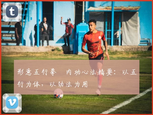 形意五行拳・内功心法精要：以五行为体，以劲法为用