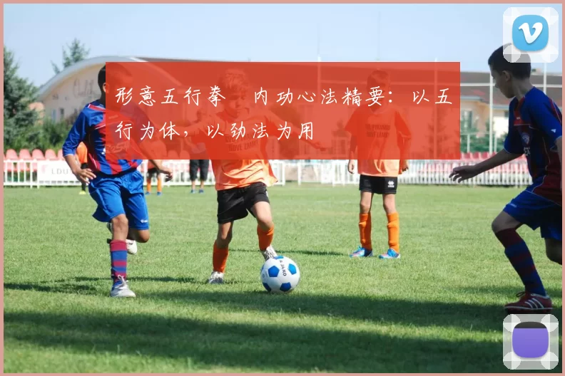 形意五行拳・内功心法精要：以五行为体，以劲法为用