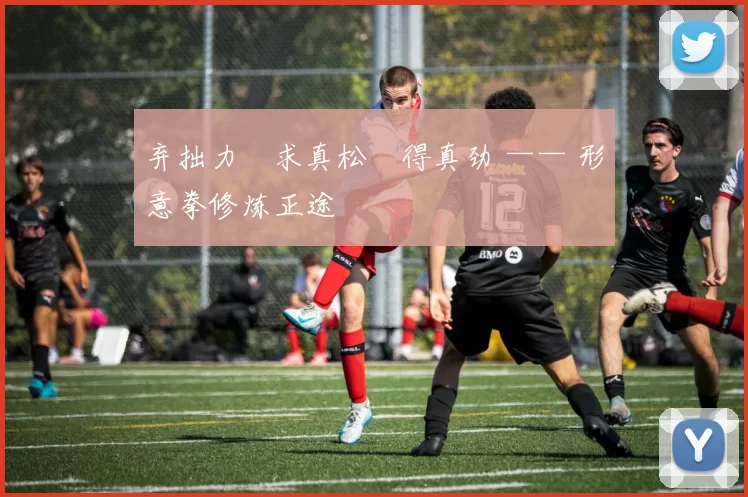 弃拙力・求真松・得真劲 —— 形意拳修炼正途