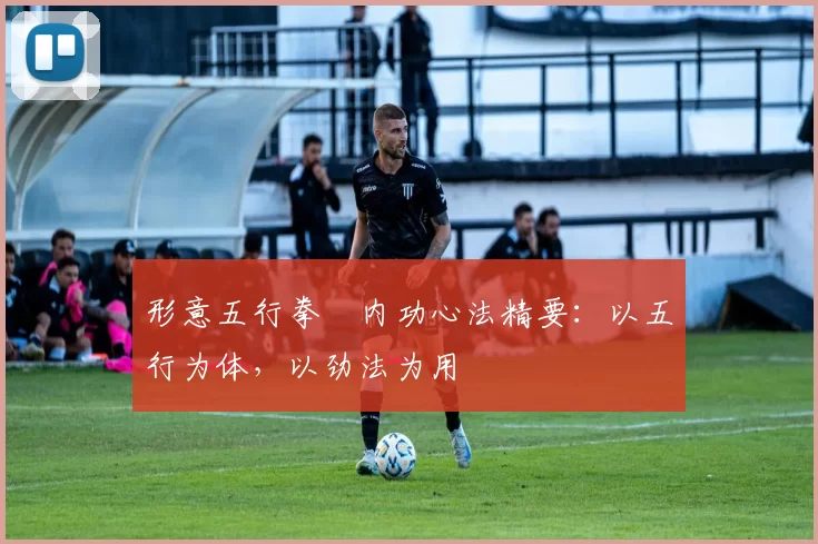 形意五行拳・内功心法精要:以五行为体,以劲法为用