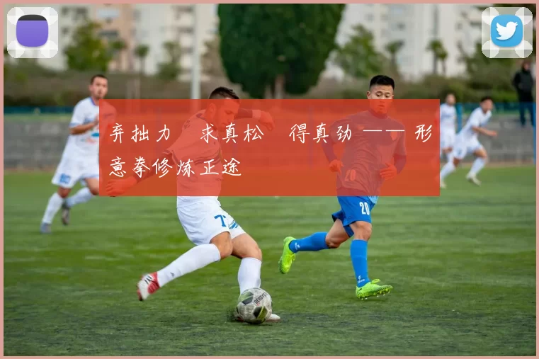 弃拙力・求真松・得真劲 —— 形意拳修炼正途