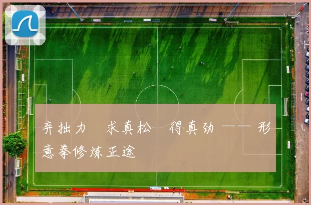 弃拙力・求真松・得真劲 —— 形意拳修炼正途