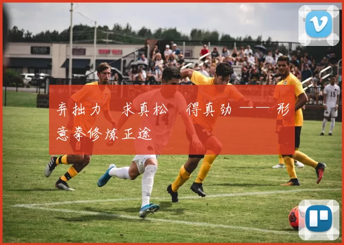 弃拙力・求真松・得真劲 —— 形意拳修炼正途