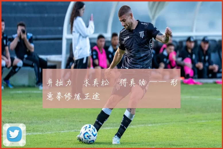 弃拙力・求真松・得真劲 —— 形意拳修炼正途