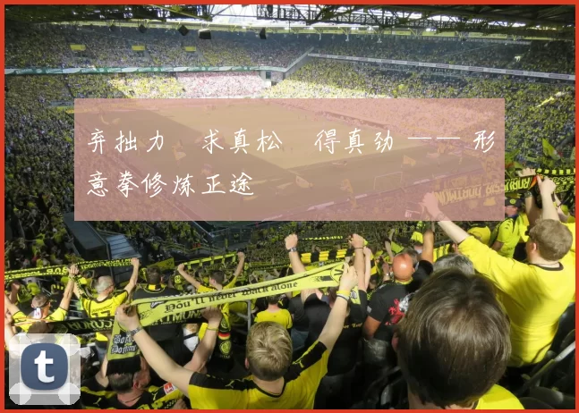 弃拙力・求真松・得真劲 —— 形意拳修炼正途