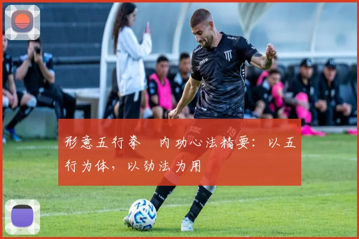 形意五行拳・内功心法精要：以五行为体，以劲法为用