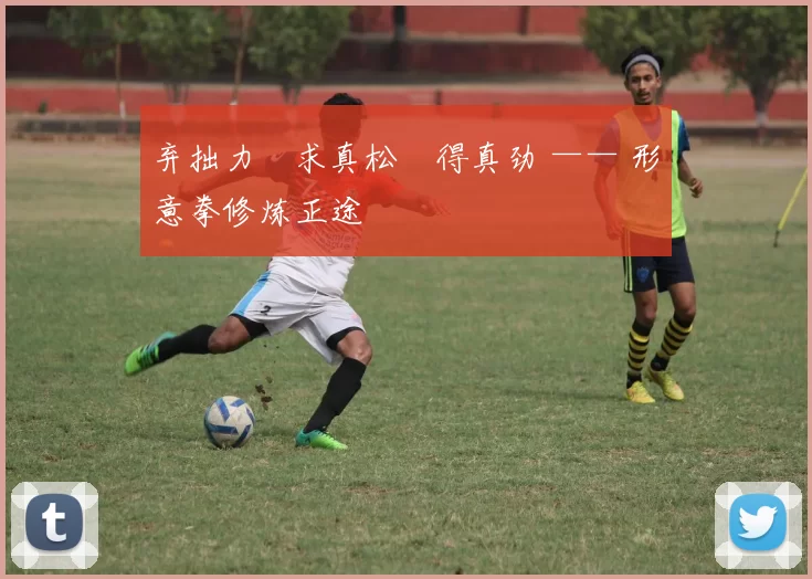 弃拙力・求真松・得真劲 —— 形意拳修炼正途