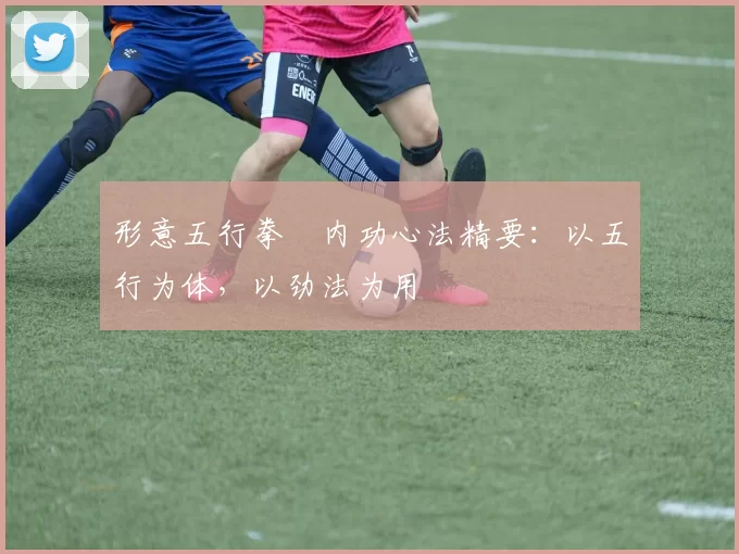 形意五行拳・内功心法精要:以五行为体,以劲法为用