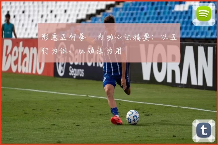 形意五行拳・内功心法精要：以五行为体，以劲法为用