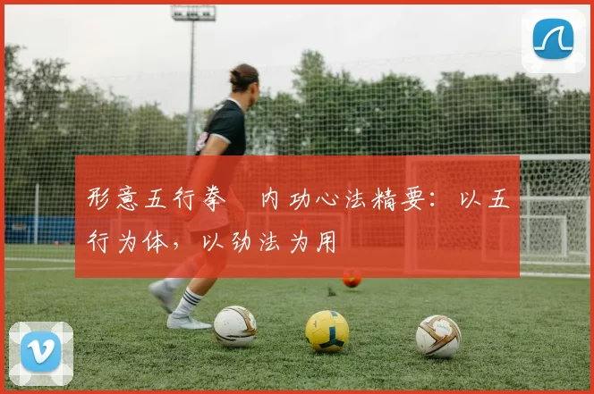 形意五行拳・内功心法精要：以五行为体，以劲法为用