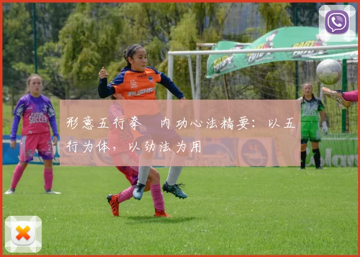 形意五行拳・内功心法精要：以五行为体，以劲法为用