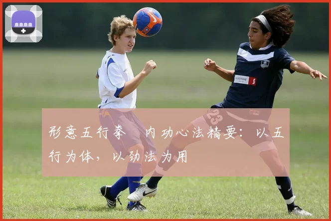 形意五行拳・内功心法精要：以五行为体，以劲法为用