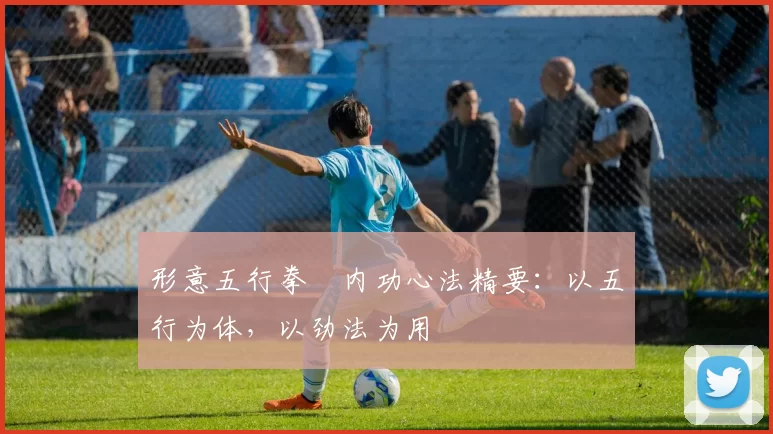 形意五行拳・内功心法精要：以五行为体，以劲法为用