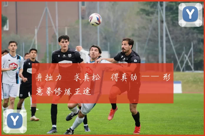 弃拙力・求真松・得真劲 —— 形意拳修炼正途