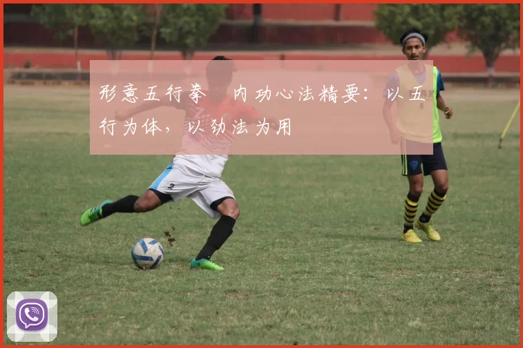 形意五行拳・内功心法精要：以五行为体，以劲法为用