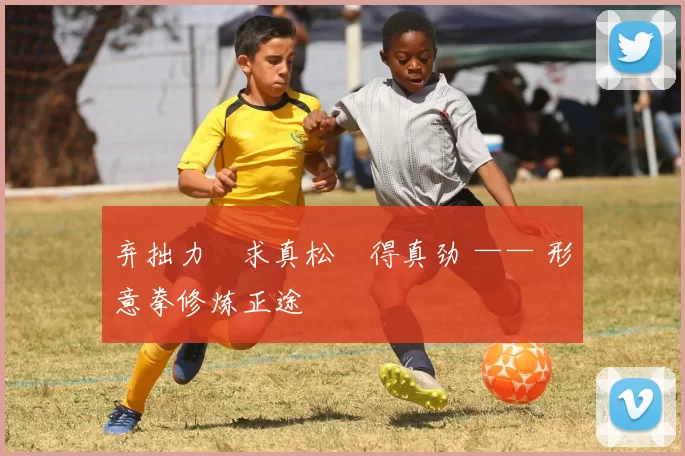 弃拙力・求真松・得真劲 —— 形意拳修炼正途