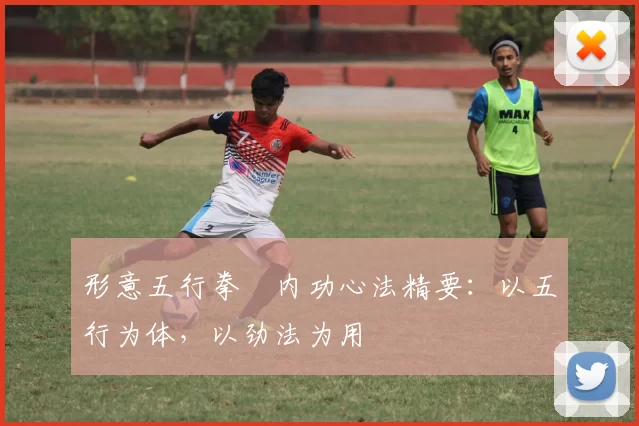 形意五行拳・内功心法精要：以五行为体，以劲法为用