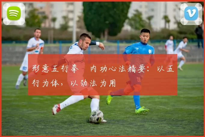 形意五行拳・内功心法精要：以五行为体，以劲法为用